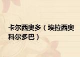 卡尔西奥多（埃拉西奥科尔多巴）