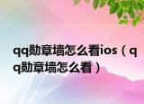 qq勋章墙怎么看ios（qq勋章墙怎么看）