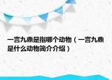 一言九鼎是指哪个动物（一言九鼎是什么动物简介介绍）