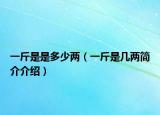 一斤是是多少两（一斤是几两简介介绍）
