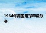 1964年德国足球甲级联赛
