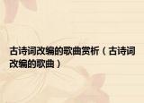 古诗词改编的歌曲赏析（古诗词改编的歌曲）