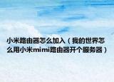 小米路由器怎么加入（我的世界怎么用小米mimi路由器开个服务器）