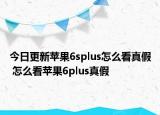 今日更新苹果6splus怎么看真假 怎么看苹果6plus真假