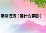 浩浩汤汤（汤什么意思）