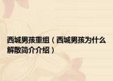 西城男孩重组（西城男孩为什么解散简介介绍）