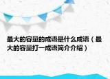 最大的容量的成语是什么成语（最大的容量打一成语简介介绍）