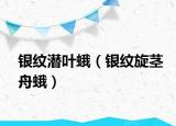 银纹潜叶蛾（银纹旋茎舟蛾）