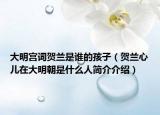 大明宫词贺兰是谁的孩子（贺兰心儿在大明朝是什么人简介介绍）