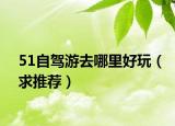51自驾游去哪里好玩（求推荐）