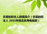 亲爱的陌生人剧情简介（亲爱的陌生人 2015年杨玄执导电视剧）