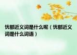忧郁近义词是什么呢（忧郁近义词是什么词语）