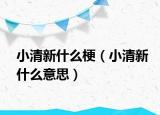 小清新什么梗（小清新什么意思）