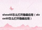 vivox60怎么打开隐藏应用（vivox60怎么打开隐藏应用）