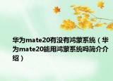 华为mate20有没有鸿蒙系统（华为mate20能用鸿蒙系统吗简介介绍）