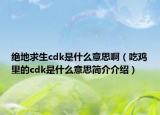 绝地求生cdk是什么意思啊（吃鸡里的cdk是什么意思简介介绍）