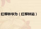 红柳林华为（红柳林站）