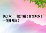 关于双十一的介绍（什么叫双十一简介介绍）