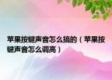 苹果按键声音怎么搞的（苹果按键声音怎么调高）