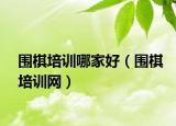 围棋培训哪家好（围棋培训网）