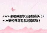 excel表格筛选怎么添加箭头（excel表格筛选怎么添加选项）