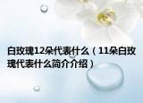 白玫瑰12朵代表什么（11朵白玫瑰代表什么简介介绍）