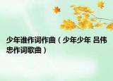 少年谁作词作曲（少年少年 吕伟忠作词歌曲）