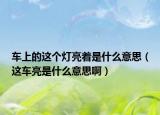 车上的这个灯亮着是什么意思（这车亮是什么意思啊）