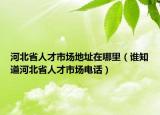 河北省人才市场地址在哪里（谁知道河北省人才市场电话）