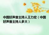 中国好声音主持人王力宏（中国好声音主持人多大）