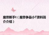 魔兽新手t（魔兽争霸小T资料简介介绍）