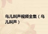 鸟儿叫声视频全集（鸟儿叫声）