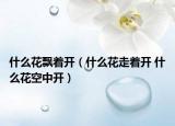 什么花飘着开（什么花走着开 什么花空中开）