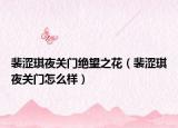 裴涩琪夜关门绝望之花（裴涩琪夜关门怎么样）