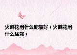 火鹤花用什么肥最好（火鹤花用什么盆栽）