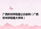 广西钦州学院是公办的吗（广西钦州学院是大学吗）