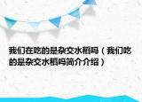 我们在吃的是杂交水稻吗（我们吃的是杂交水稻吗简介介绍）