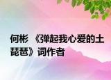 何彬 《弹起我心爱的土琵琶》词作者
