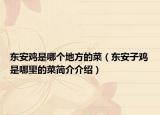 东安鸡是哪个地方的菜（东安子鸡是哪里的菜简介介绍）
