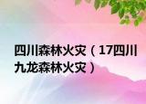 四川森林火灾（17四川九龙森林火灾）