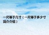 一尺等于几寸（一尺等于多少寸简介介绍）