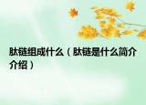 肽链组成什么（肽链是什么简介介绍）