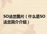SO法兰图片（什么是SO法兰简介介绍）