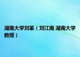 湖南大学刘革（刘江南 湖南大学教授）