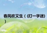 春风吹又生（(打一字迷)）