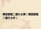 横竖都是二是什么梗（横竖都是二是什么字）