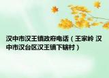 汉中市汉王镇政府电话（王家岭 汉中市汉台区汉王镇下辖村）