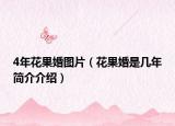 4年花果婚图片（花果婚是几年简介介绍）