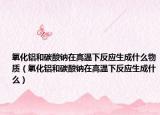 氧化铝和碳酸钠在高温下反应生成什么物质（氧化铝和碳酸钠在高温下反应生成什么）