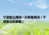 宁波象山海域一头鲸鱼搁浅（宁波象山区邮编）